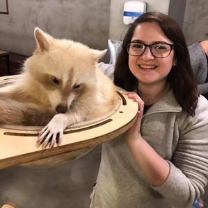 Meet your Posher, Cassie